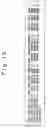 Fig. 14 - Failure diagnosis for logic circuits