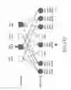 Fig. 12 - Apparatus and method for signal transmission/reception in a communication system