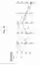 Fig. 16 - Viterbi decoding method
