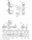 Fig. 02 - Dynamic input field protection