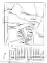 Fig. 08 - SPATIAL ORGANIZATION AND DISPLAY OF HYPERLOCAL PUBLISHING INFORMATION