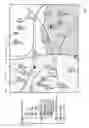 Fig. 06 - SPATIAL ORGANIZATION AND DISPLAY OF EVENT TICKETING INFORMATION