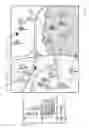 Fig. 06 - SPATIAL ORGANIZATION AND DISPLAY OF ORGANIZATIONAL RESEARCH INFORMATION