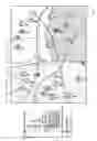 Fig. 06 - SPATIAL ORGANIZATION AND DISPLAY OF ENTERPRISE OPERATIONAL INTEGRATION INFORMATION
