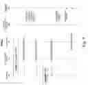 Fig. 10 - Acquisition of authentication rules for service provisioning