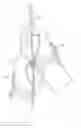 Fig. 01 - Golf glove