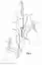 Fig. 03 - Golf glove