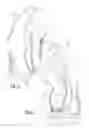 Fig. 04 - Golf glove
