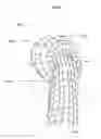 Fig. 03 - Ponytail hairnet