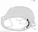 Fig. 01 - Storage Pocket For Helmet Cover