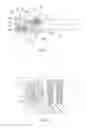 Fig. 03 - TOOTHBRUSH FOR USE WITH AN ORTHODONTIC DEVICE