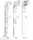 Fig. 14 - Stacking wall panel system and methods of installation and use
