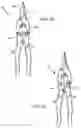 Fig. 08 - Two-stage force multiplier tin snips