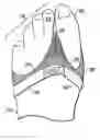 Fig. 01 - Protective foot covering