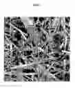Fig. 02 - Low thermal expansion articles