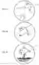 Fig. 02 - Method and device for detecting estrus