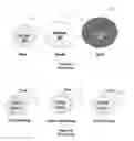 Fig. 02 - NANOPARTICLE SENSITIZED NANOSTRUCTURED SOLAR CELLS