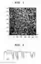 Fig. 02 - Printed circuit board with embedded capacitors therein and manufacturing process thereof