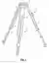 Fig. 02 - Tripod