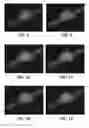 Fig. 08 - METHOD FOR INFRARED IMAGING OF SUBSTRATES THROUGH COATINGS