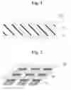 Fig. 02 - Metallocenyl dendrimer, organic memory device using the same and fabrication method of the organic memory device