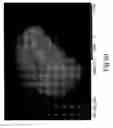 Fig. 07 - Granules, tablets and granulation