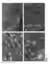 Fig. 02 - Method and apparatus for manufacturing plasma based plastics and bioplastics produced therefrom