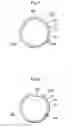 Fig. 04 - Wave spring