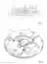 Fig. 02 - Arrangement for the mechanical interfacing of a MEMS micromotor with a clock wheel and timepiece comprising this arrangement