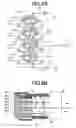 Fig. 09 - NMR probe and NMR spectrometer