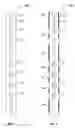 Fig. 06 - Method and apparatus for reducing borehole and eccentricity effects in multicomponent induction logging