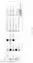 Fig. 54 - Printhead incorporating rows of ink ejection nozzles