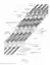 Fig. 63 - Printhead incorporating rows of ink ejection nozzles