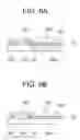 Fig. 07 - Imaging module and method of manufacturing imaging module