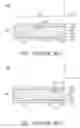 Fig. 02 - Liquid crystal display panel having rectangular liquid crystal domain arranging layers including crossed slits