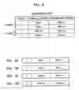 Fig. 09 - Information recording medium, recording/reproducing apparatus, and recording/reproducing method to distinguish between an original recording block and a replacement recording block