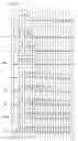 Fig. 03 - Recording method and media having marks and spaces with lengths defined by a predetermined modulation method