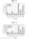Fig. 06 - Image search methods for reducing computational complexity of motion estimation