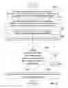 Fig. 19 - Caller ID Messaging Telecommunications Services