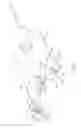 Fig. 12 - Surgical multiple use adhesive applier