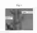 Fig. 02 - Fine particulate titanium dioxide, and production process and uses thereof