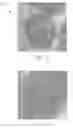 Fig. 02 - MATERIALS FOR STORAGE AND RELEASE OF BULK QUANTITIES OF HYDROGEN AND METHODS OF MAKING AND USING SAME