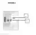 Fig. 02 - Encapsulated (Chelate or Ligand) Dendritic Polymers