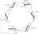 Fig. 06 - Flavonoid complexes