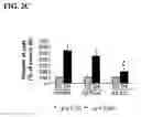Fig. 04 - Methods of treating restenosis