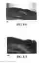 Fig. 28 - Methods and reagents for the enhancement of virus transduction in the bladder epithelium