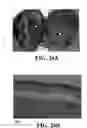 Fig. 53 - Methods and reagents for the enhancement of virus transduction in the bladder epithelium