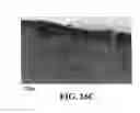 Fig. 34 - Methods and reagents for the enhancement of virus transduction in the bladder epithelium