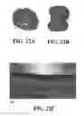 Fig. 45 - Methods and reagents for the enhancement of virus transduction in the bladder epithelium