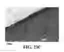 Fig. 48 - Methods and reagents for the enhancement of virus transduction in the bladder epithelium